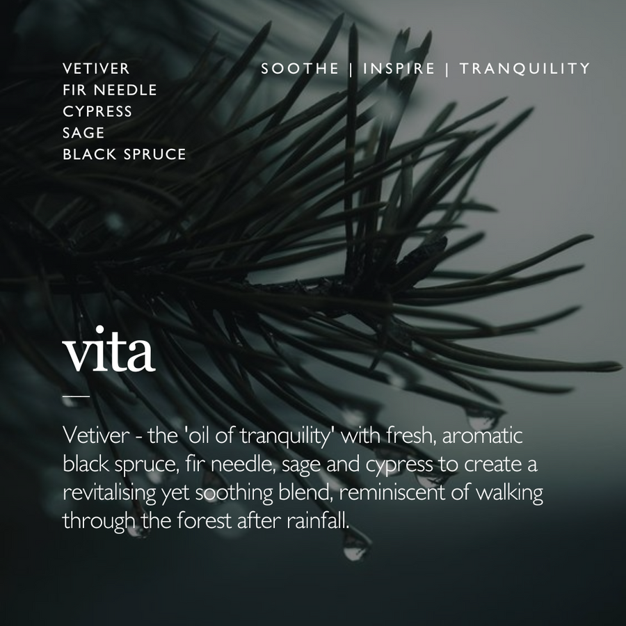 VITA Aroma Mist | Vetiver & Black Spruce