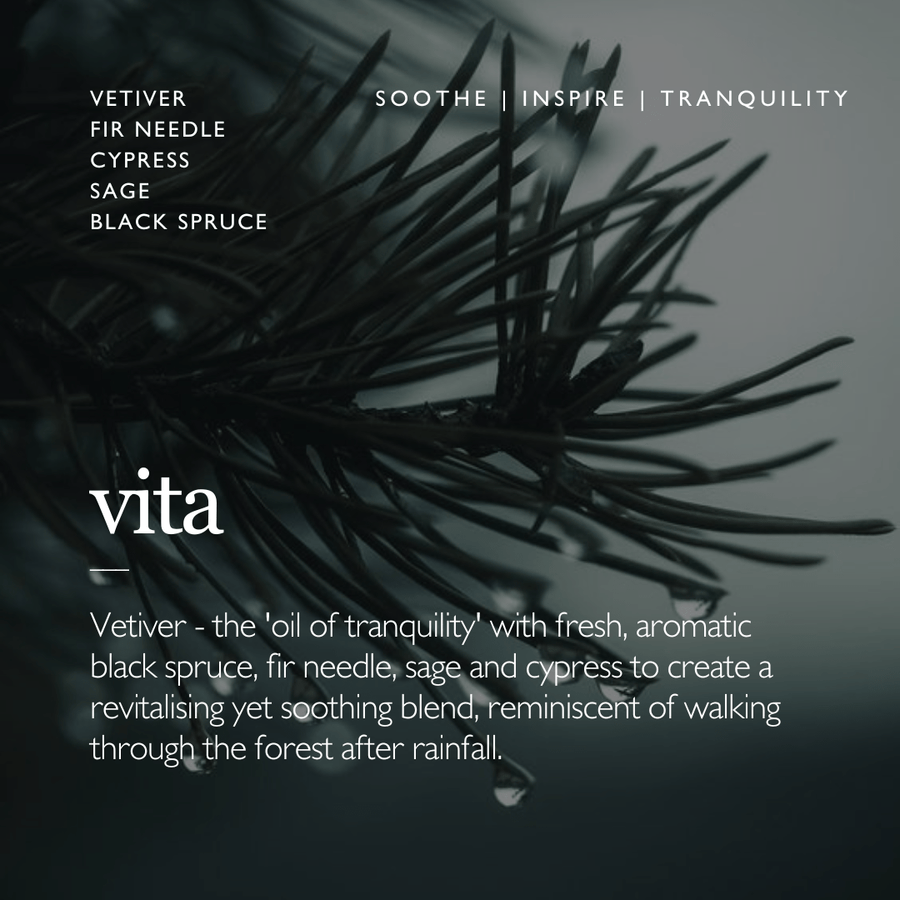 VITA Aromatherapy Candle | Vetiver & Black Spruce - Poet Botanicals