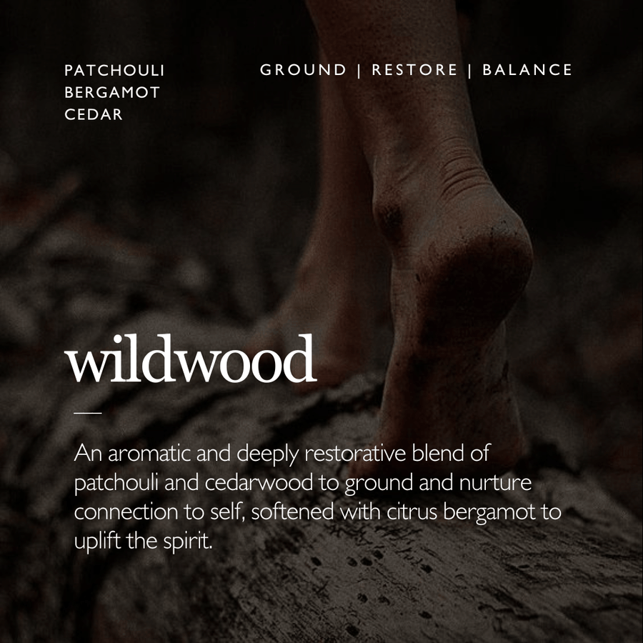 WILDWOOD Aromatherapy Candle | Patchouli & Cedar - Poet Botanicals